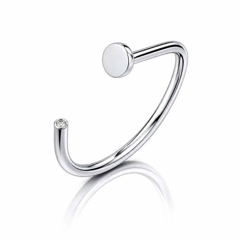 Titanyum Düz Uçlu Açık Burun Halkası — silver